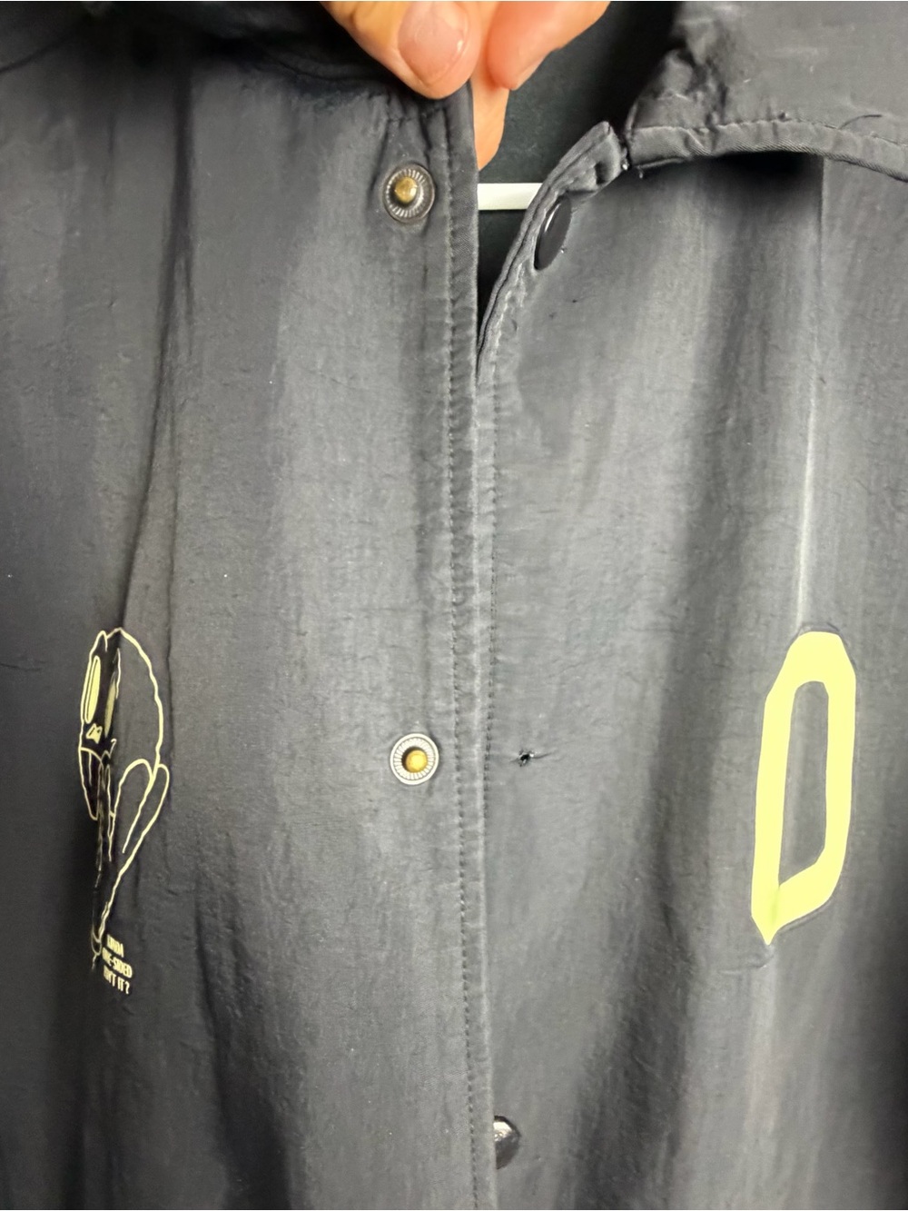 Nike Jordan Space Jam coach jacket View 4
